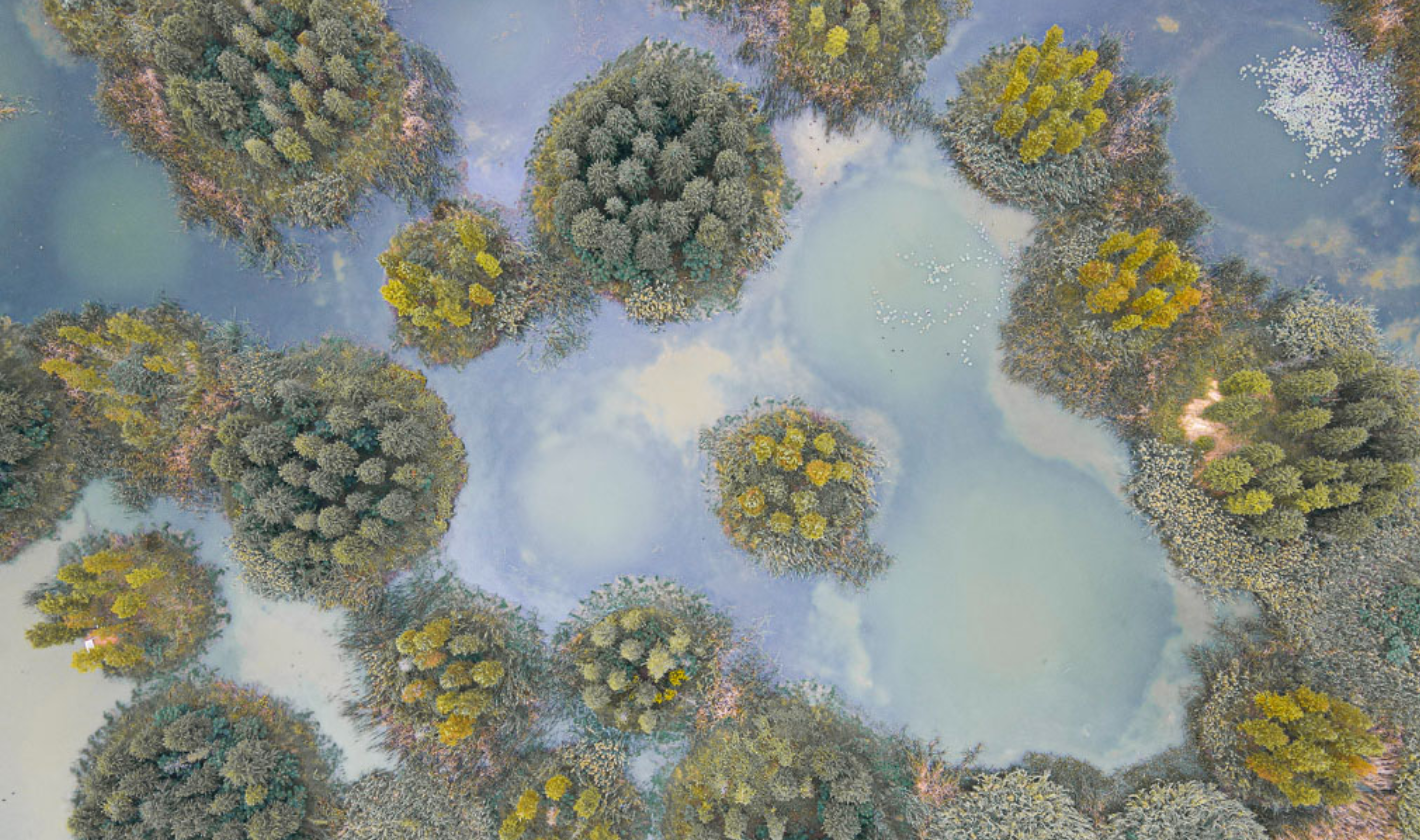 秋日大泽湖：在稻香鸟鸣中邂逅生态画卷