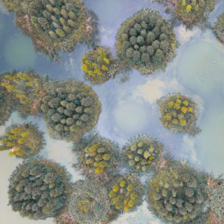 秋日大泽湖:在稻香鸟鸣中邂逅生态画卷