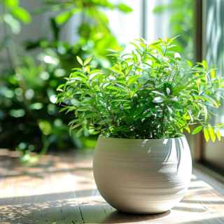 散文丨彭世民:步数里的光阴