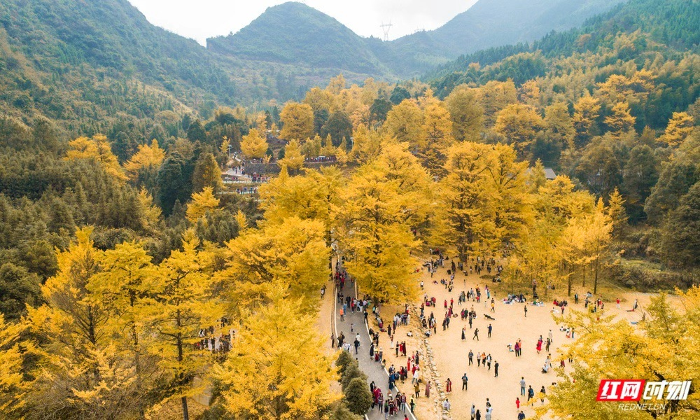 6735e3f226cf22af870069e70dec852b.jpg 6735e3f226cf22af870069e70dec852b.jpg