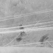 美术名家丨姜贻华·参展作品：《觅香》《素弦渡云影》等