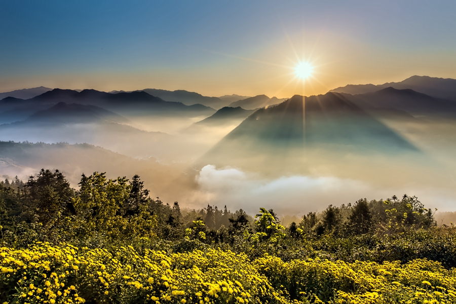 千库网_日出云海和菊花摄影图_摄影图编号78260.jpg