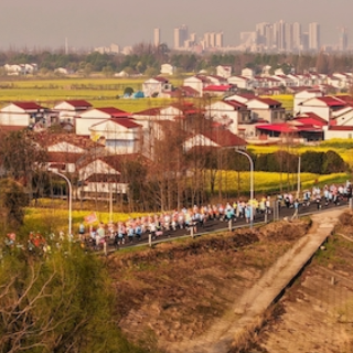 3500人“跑”进金色油画!南县花海马拉松飘起小龙虾香