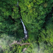 免费招募！湘西德夯大峡谷“国际生物多样性日”科普活动等你参与