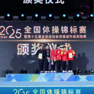 张博恒全能决赛上演绝地反击 成就全锦赛三冠传奇
