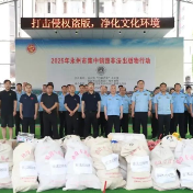 永州丨开展2025年非法出版物集中销毁行动