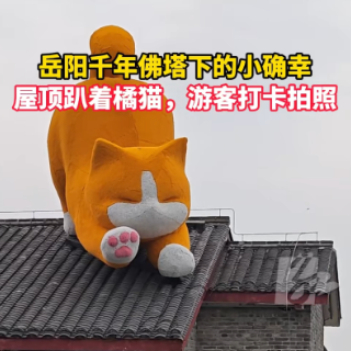 岳阳千年古塔下的小确幸：屋顶趴着橘猫，游客争相拍照