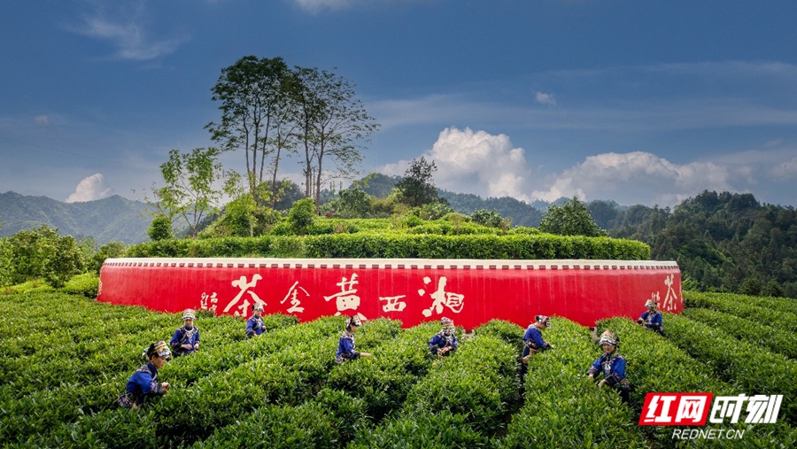 图片4.jpg