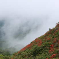 湖南旅游资源新发现丨生态游再添好去处 探寻“雪峰遗珠”通道麒麟山