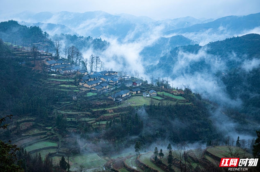 凉灯村.jpg