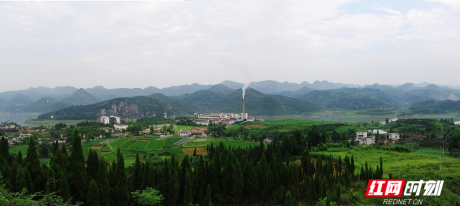 IMG_3936.PNG