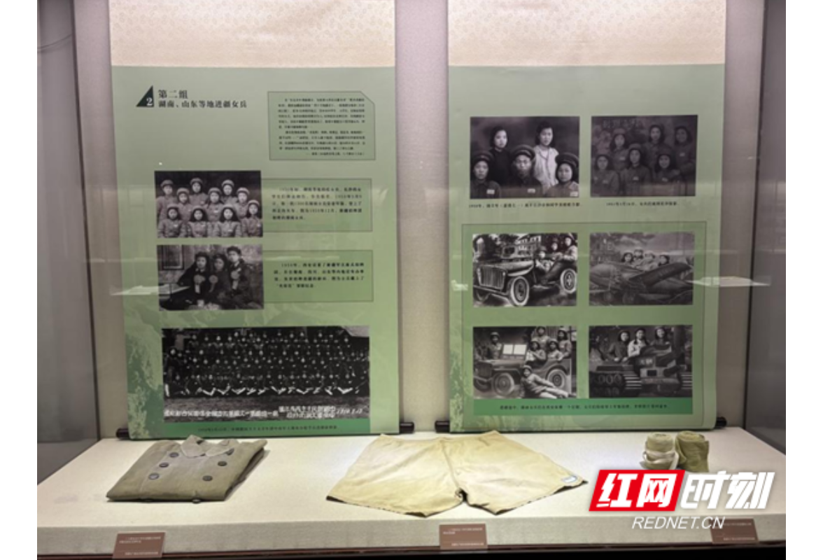 湘见万年丨岳阳市博物馆用这场展览告诉你“花儿为什么这样红”