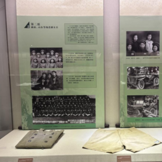 湘见万年丨岳阳市博物馆用这场展览告诉你“花儿为什么这样红”