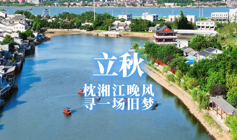 二十四节气·立秋丨枕湘江晚风 寻一场旧梦