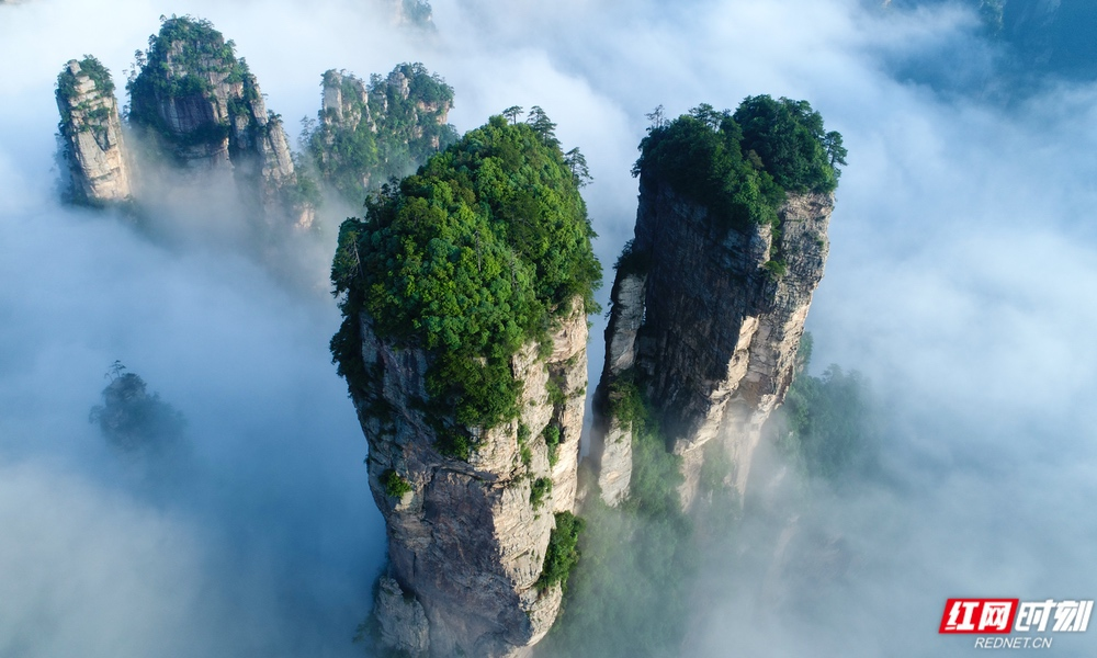 微信图片_20250912164713_5543_122.png