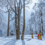 新新高速通车！春节回家遇见“湘西南最美自驾风景道”