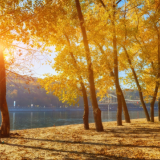 诗歌时刻丨何启明：任秋风塑我，如塑一团未定的陶坯