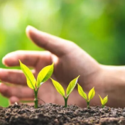 邵阳丨武冈市举办寄递物流、印刷行业“扫黄打非”专题培训会