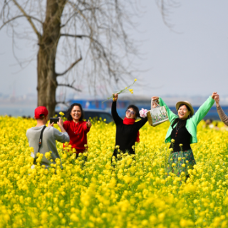 长沙人以后不用去挤橘子洲！这六座江心洲岛要“焕新”