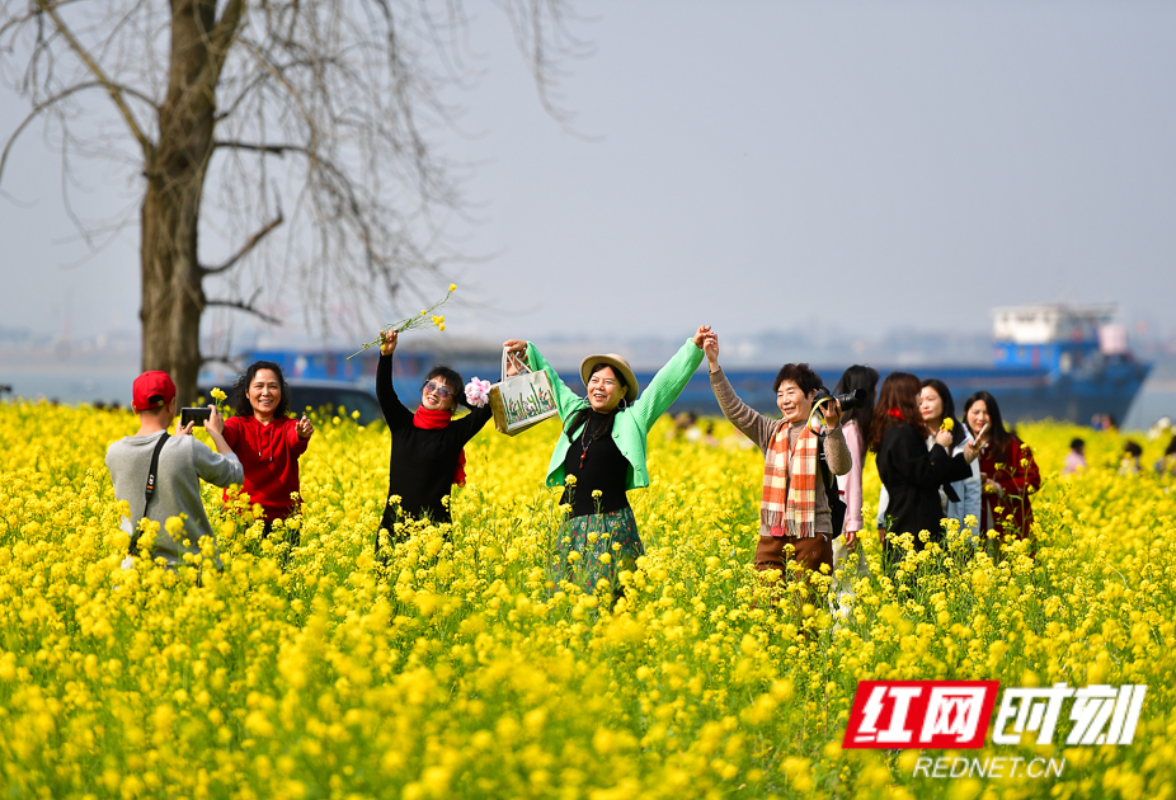 长沙人以后不用去挤橘子洲！这六座江心洲岛要“焕新”