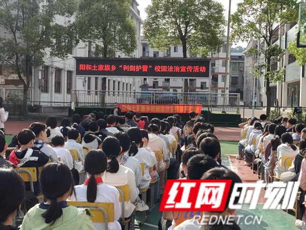 市2.png 市2.png