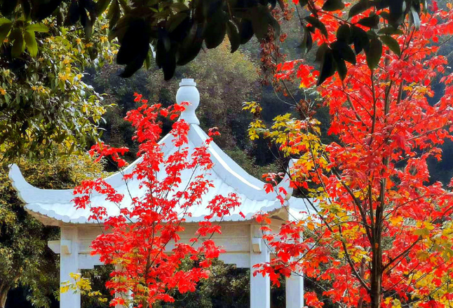 Autumn in Changsha Ecological Park