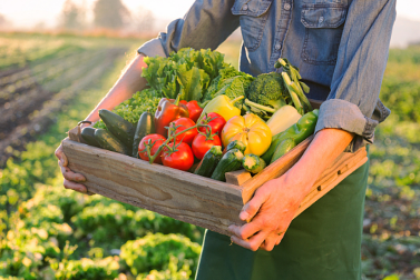 乡村振兴要用好“数字红利”