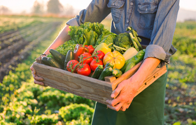 2021年农村居民人均可支配收入达18931元