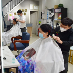 福虎游春 年味渐浓——西安部分区域解封首日见闻