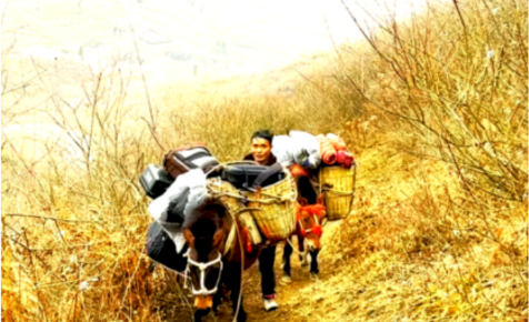 新春走基层丨“无人区”巡线！记者体验海拔3000米的坚守