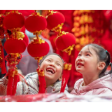 海外网评：闯出龙腾虎跃的新一年！