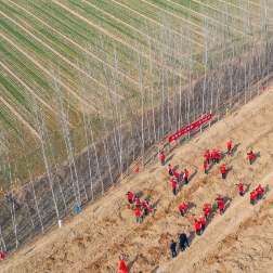 春日植树 绿化家园