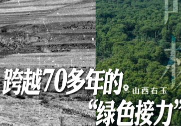 致富绿，“植”抵人心！