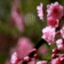 两会微视频丨在一起