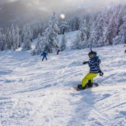 一份来之不易的成绩单 