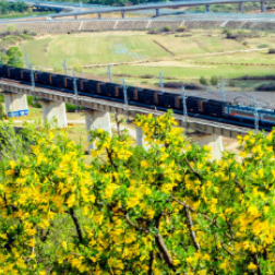 镜观中国｜我们，向绿色春天报到！