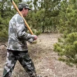 “绿化将军”种出“百万雄兵”