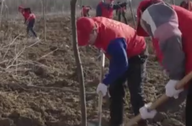 2021年我国共完成造林种草666.67万公顷