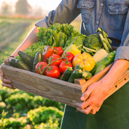 2021年我国共完成造林种草666.67万公顷