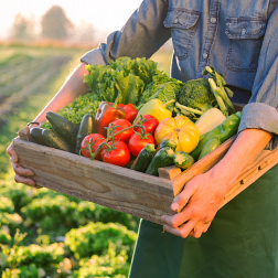 原来你是这样的人大代表 