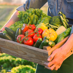 2021年我国共完成造林种草666.67万公顷