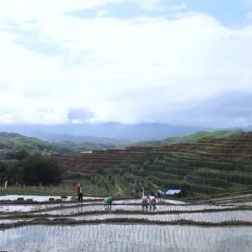 抢抓农时 各地全力做好春耕备耕