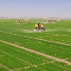 统筹疫情防控和春耕 受疫情影响地区分区分级建立农资“点对点”保供运输绿色通道