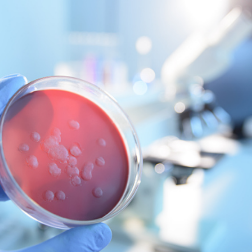 生物实验室何以遍布全球？美国，请回答！