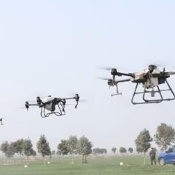 低温保生产 | 小麦主产区多措并举应对“倒春寒” 做好小麦田间管理