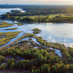 “新疆是个好地方”黎巴嫩专场视频交流会召开 新疆社会稳定 人民热情好客