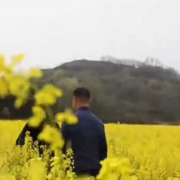 低温保生产 | 提前部署防范措施 油菜苗情长势好于常年同期