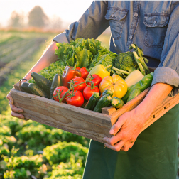 新疆原教培中心结业学员：哪个“集中营”会教授就业致富？