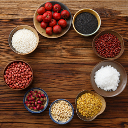 春耕生产由南到北有序推进——播下田野新希望