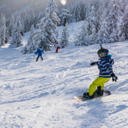 “赛后利用可覆盖一年四季”